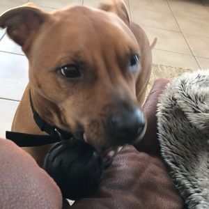 Meet your Posher, Grant